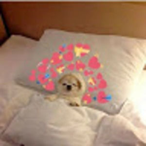 Meet your Posher, Lola